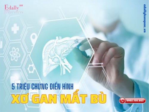 Các Triệu Chứng Điển Hình Của Bệnh Xơ Gan Mất Bù