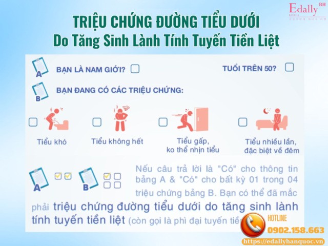 Triệu chứng đường tiểu dưới của tăng sinh lành tính tuyến tiền liệt (phì đại tuyến tiền liệt)