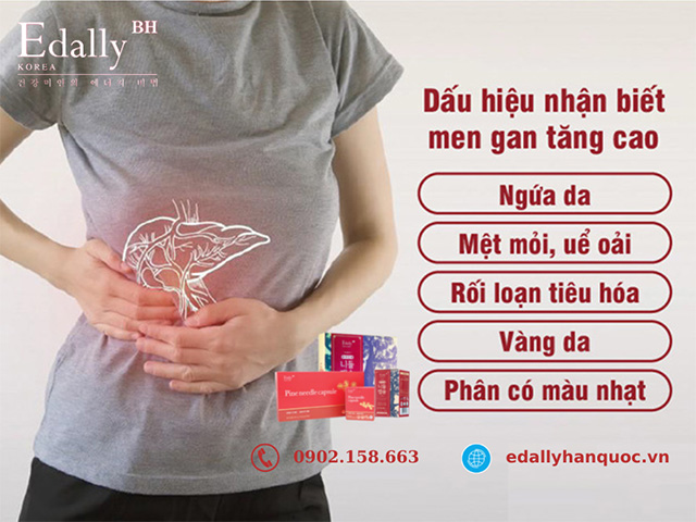 Các triệu chứng của tăng men gan