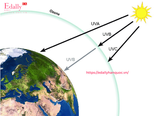 Trong Tia cực tím / Tia UV / Tia tử ngoại thì chỉ có tia UVB và tia UVA tác động lên làn da còn tia UVC bị tầng Ozone hấp thụ