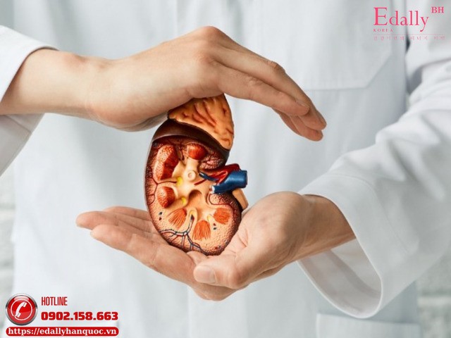 Tuân Thủ Điều Trị Trong Bệnh Thận - Nền Tảng Bảo Tồn Thận Hiệu Quả