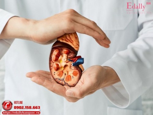 Tuân Thủ Điều Trị Trong Bệnh Thận - Nền Tảng Bảo Tồn Thận Hiệu Quả