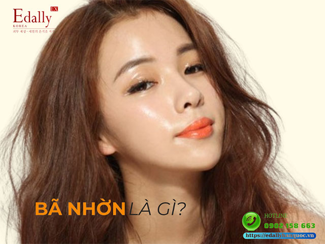 Tuyến Bã Nhờn Là Gì Và Có Chức Năng Gì Với Làn Da?