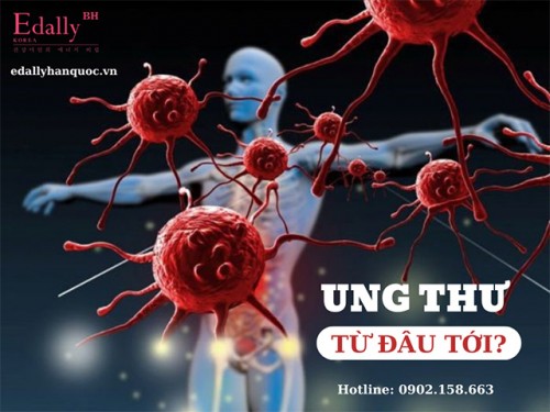 Ung Thư Có Thật Sự Đáng Sợ?