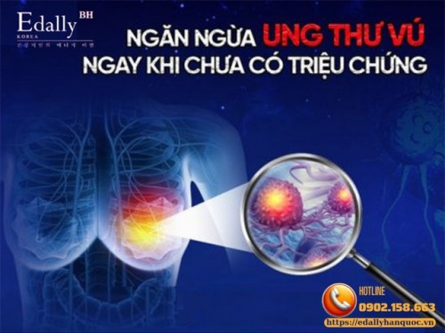 Ung Thư Vú Và Các Bệnh Thường Gặp Ở Vú