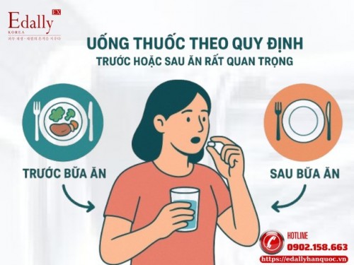 Uống Thuốc Vào Trước, Trong Hay Sau Bữa Ăn: Vì Sao Lại Quan Trọng?