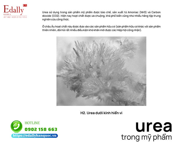 Urea Trong Mỹ Phẩm - Cứu Tinh Cho Làn Da Sau Khi Dùng Treatment