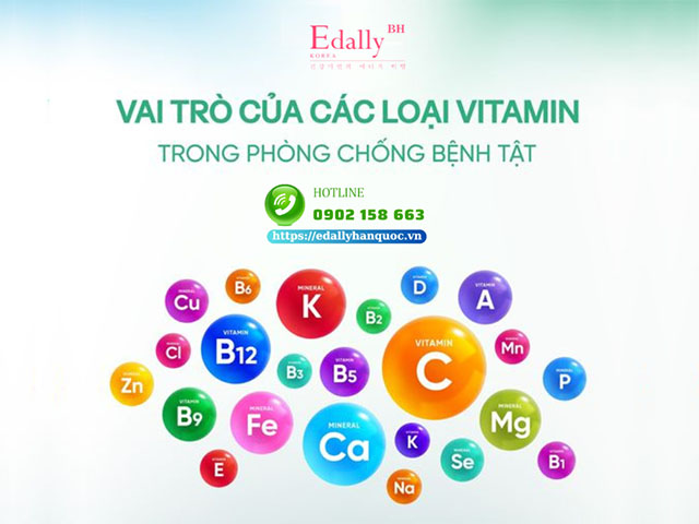 Vai trò và chức năng của các loại vitamin trong cơ thể