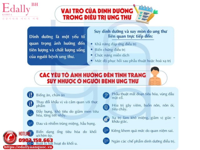 Vai trò dinh dưỡng trong điều trị ung thư và các yếu tố ảnh hưởng đến tình trạng suy nhược ở người bệnh ung thư