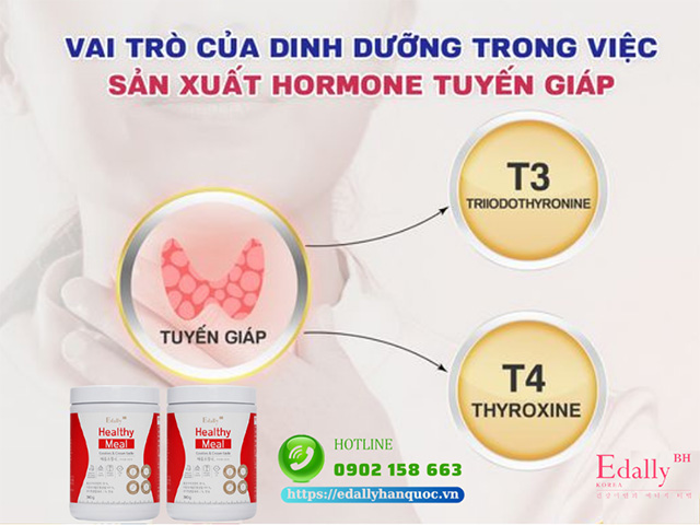 Vai trò của dinh dưỡng trong việc sản xuất hormone tuyến giáp