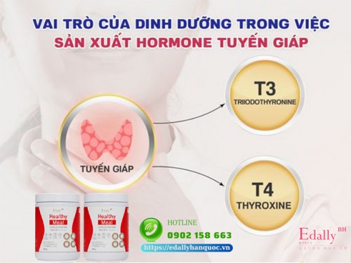 Vai Trò Của Dinh Dưỡng Trong Việc Sản Xuất Hormone Tuyến Giáp