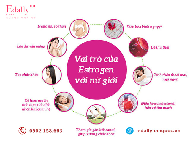Vai trò của nội tiết tố Estrogen đối với phụ nữ