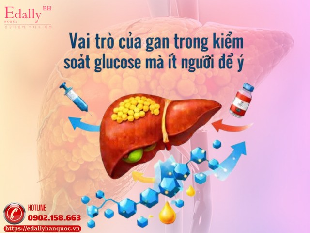 Vai trò của gan trong việc kiểm soát glucose mà ít người để ý