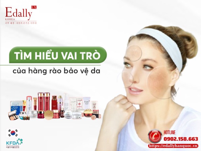 Vai trò của hàng rào bảo vệ da (skin barrier) trong kiểm soát viêm