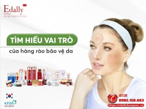 Vai Trò Của Hàng Rào Bảo Vệ Da Trong Kiểm Soát Viêm