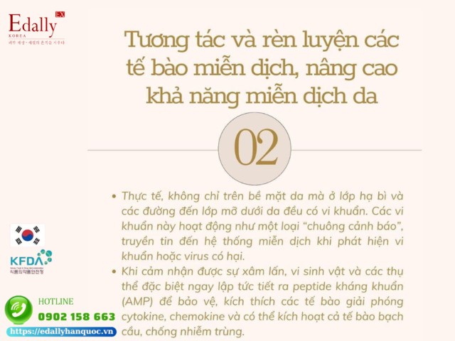 Vai trò của hệ vi sinh vật trên da giúptương tác và rèn luyện các tế bào miễn dịch, nâng cao khả năng miễn dịch da