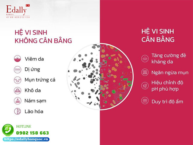 Hệ vi sinh vật Microbiome có tác dụng gì đối với làn da?