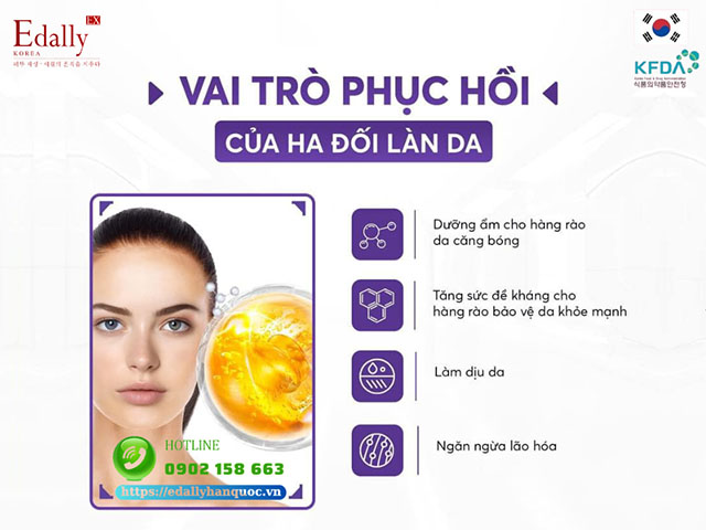 Vai trò của Hyaluronic acid (HA) trong việc phục hồi da