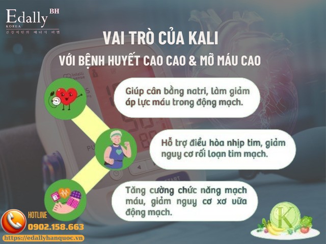 Vai trò của kali với người bệnh huyết áp cao và mỡ máu cao