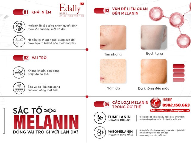 Sắc tố melanin có vài trò gì đối với làn da?