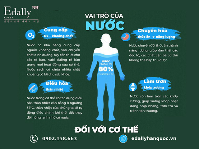 Vai trò của của nước đối với sức khỏe và cơ thể con người