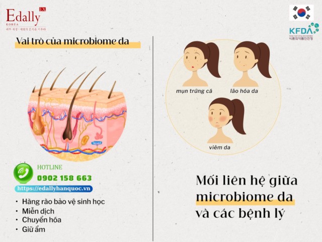 Thảm vi sinh vật trên da (Microbiome) có vai trò gì đối với làn da