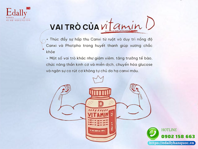 Vai trò của vitamin D là gì?