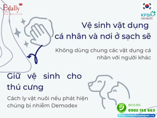 Vệ sinh vật dụng cá nhân, nơi ở, thú cưng khi chăm sóc da bị nhiễm Demodex