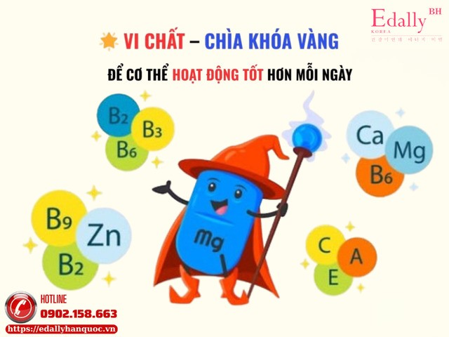 Vi chất - Chìa khóa vàng để cơ thể hoạt động tốt hơn mỗi ngày
