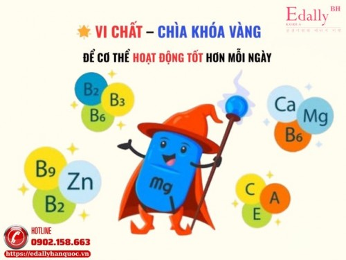 Hướng Dẫn Bổ Sung Vi Chất Qua Thực Phẩm Hằng Ngày