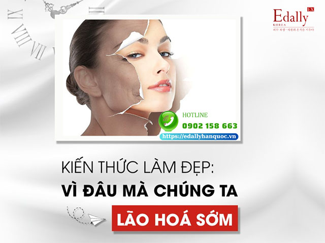 Nguyên nhân vì đâu mà chúng ta bị lão hóa sớm?