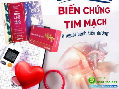 Vì Sao Đái Tháo Đường Gây Biến Chứng Tim Mạch?