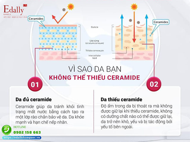 Tại sao da bạn không thể thiếu Ceramide?