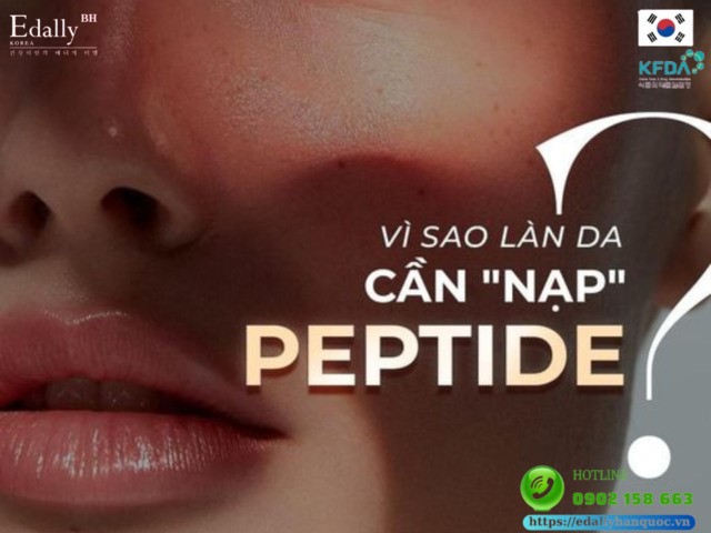 Vì sao làn da cần nạp Peptide mỗi ngày?