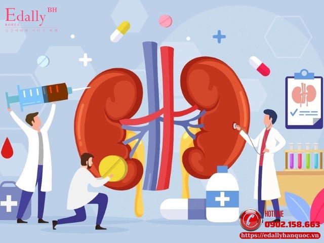 Vì sao khi mắc bệnh suy thận mạn tính (CKD) không thể chữa khỏi hoàn toàn? Vì sao khi mắc bệnh suy thận mạn tính (CKD) không thể chữa khỏi hoàn toàn?
