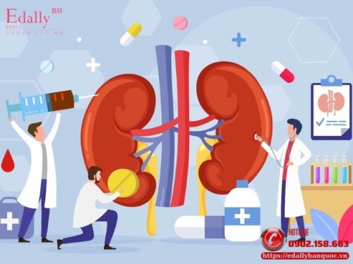 Vì Sao Khi Mắc Bệnh Suy Thận Mạn Tính (CKD) Không Thể Chữa Khỏi Hoàn Toàn? Vì Sao Khi Mắc Bệnh Suy Thận Mạn Tính (CKD) Không Thể Chữa Khỏi Hoàn Toàn?