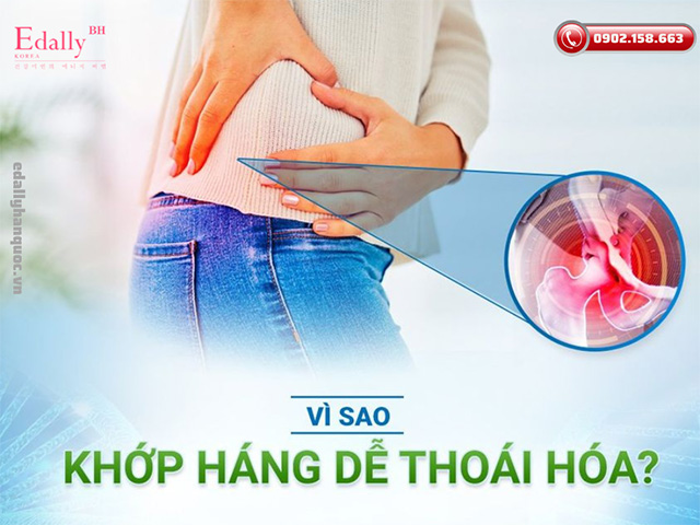 Vì sao khớp háng lại dễ bị thoái hóa?