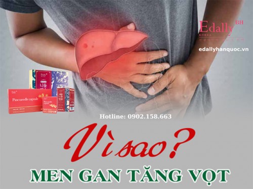 Nguyên Nhân Gây Men Gan Cao? Cách Hạ Men Gan?