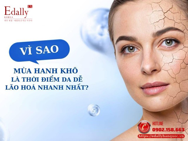 Vì sao mùa hanh khô là thời điểm da dễ bị lão hoá nhanh nhất?