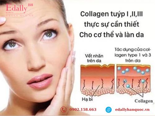 Vì Sao Bạn Nên Bổ Sung Collagen Tuýp 1, 2, 3?