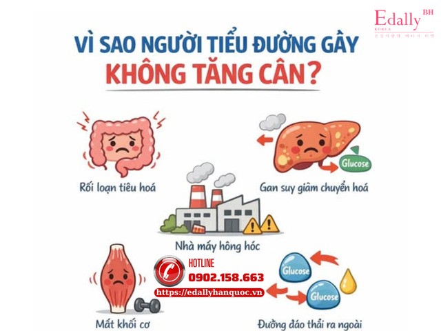 Vì sao người bệnh tiểu đường gầy và không tăng cân?