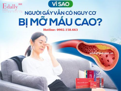 Người Gầy Có Bị Mỡ Máu Không?