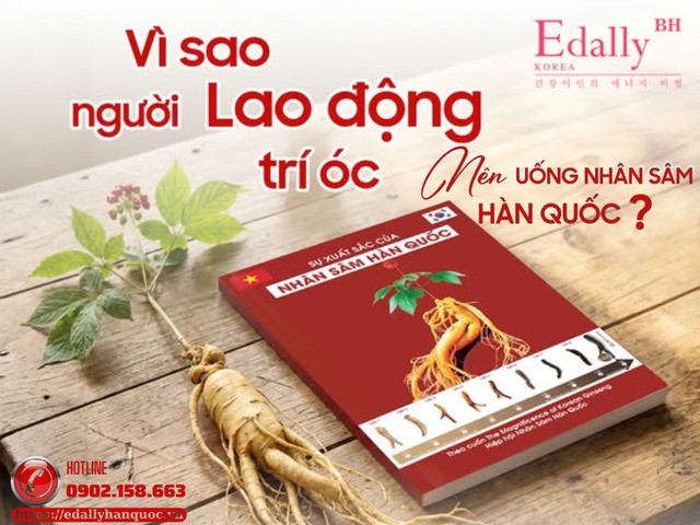 Vì sao người lao động trí óc nên uống Nhân sâm Hàn Quốc?