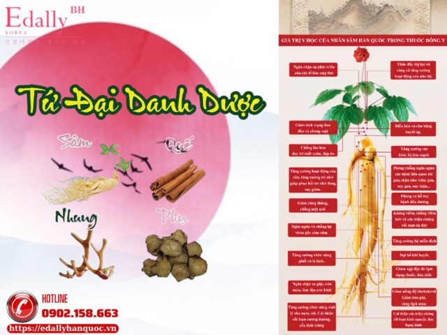 Tại sao Nhân sâm được mệnh danh là thần dược Đông y vàđứng đầu trong hàng tư đại danh dược Sâm - Nhung - Quế - Phụ?