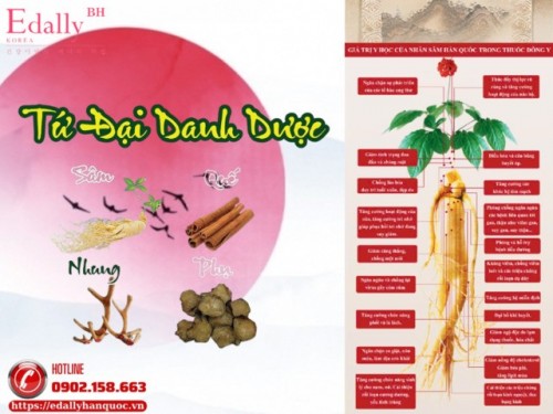 Vì Sao Nhân Sâm Đứng Đầu Trong Hàng Sâm - Nhung - Quế - Phụ Trong Đông Y?