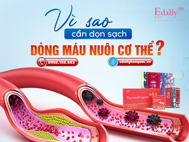 Làm sạch mạch máu giúp duy trì sự thông suốt và khỏe mạnh của hệ thống tiền đình từ đó không còn nỗi lo rối loạn tiền đình cũng như các vấn đề liên quan đến thần kinh như đau đầu, mất ngủ, stress…