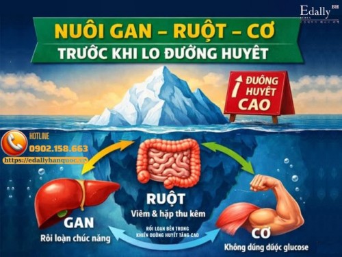 Vì Sao Phải Nuôi Gan - Ruột - Cơ Trước Khi Lo Đường Huyết Ở Người Bệnh Tiểu Đường?
