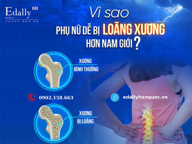 Vì sao phụ nữ dễ bị loãng xương hơn nam giới?