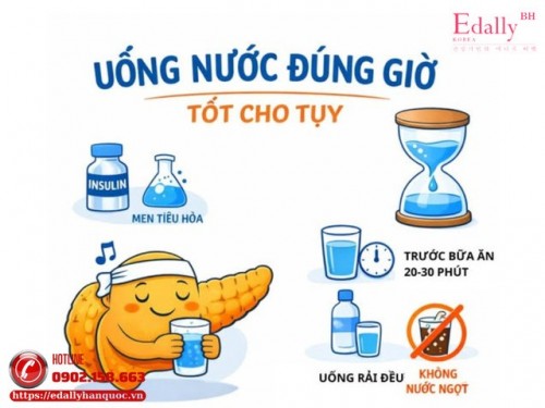 Vì Sao Uống Nước Đúng Giờ Lại Tốt Cho Tụy?
