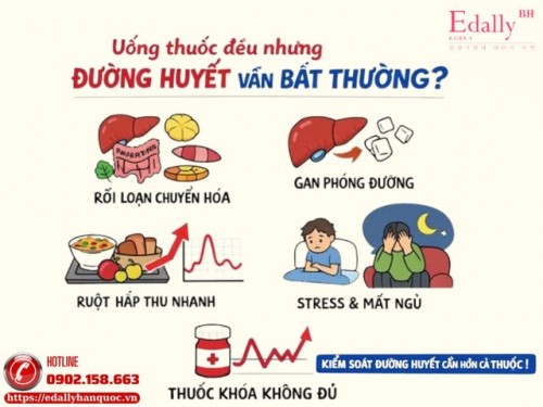 Uống Thuốc Đều Nhưng Đường Huyết Vẫn Cao - Thấp Thất Thường Là Vì Sao?